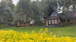 Shamba Lodge Arusha: The Best Airbnb Cabins in Arusha