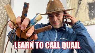 How to call California and Gambels Quail - Plus tuning and maintaining your call
