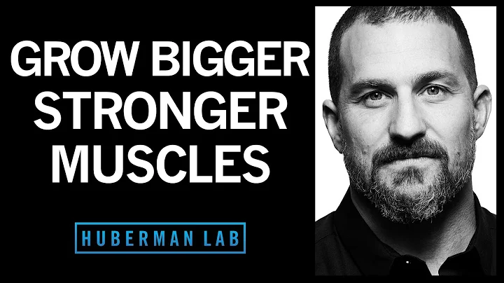 Science of Muscle Growth, Increasing Strength & Muscular Recovery | Huberman Lab Podcast #22 - DayDayNews