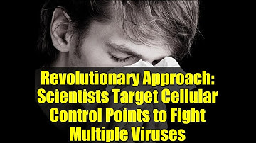 Revolutionary Approach: Scientists Target Cellular Control Points to Fight Multiple Viruses