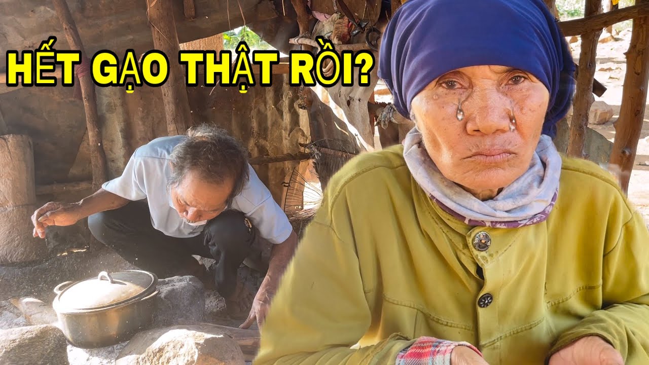 Hết Gạo Thật Rồi? Bữa Cơm Nghèo Khiến Ai Cũng Nghẹn Lòng