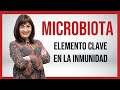 MICROBIOTA. Elemento clave en la inmunidad