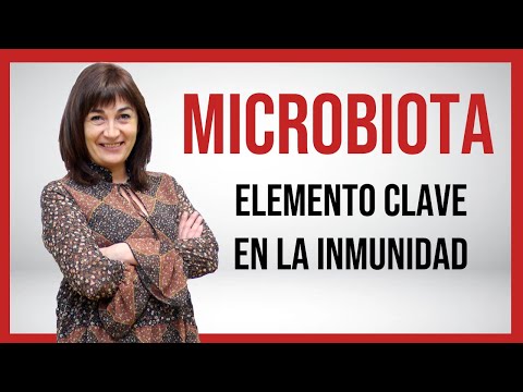 Vídeo: Vigilancia De La Microbiota Intestinal Por El Sistema Inmunitario Adaptativo