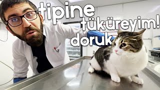 HAFTALIK DoBiDa DOZUNUZ | katmer, mercan, mavi, nikita, dzeko, sushi, karam