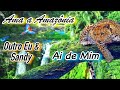 🌳OutroEu & Sandy - Ai de Mim ( COM LETRA) 2017