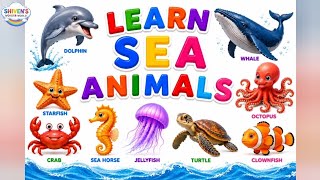 Learn Sea Animals for Kids 🌊🐠 | Sea Animals Names and Facts