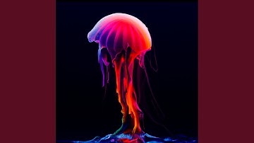 Last Child On Earth (Alex Medina Remix)