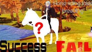 Crossbreed fail or success? - Horse Riding Tales