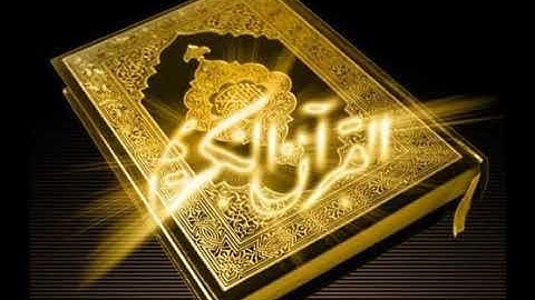 سورة التغابن   المصحف المرتل  برواية حفص عن عاصم  الشيخ محمد عبد الكريم