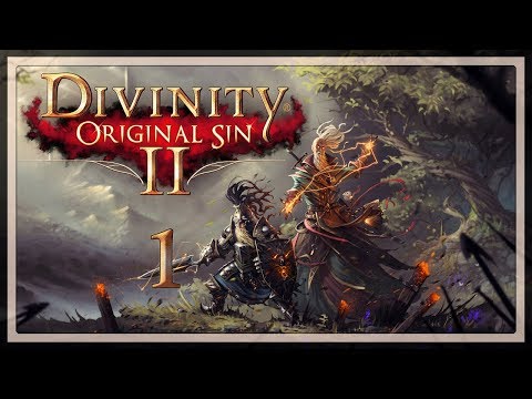 divinity original sin 2 bless malady or not