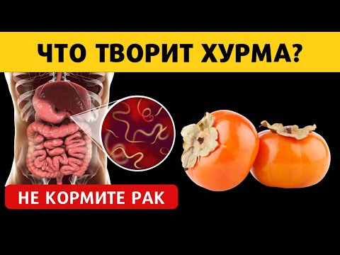 А Что Будет, Если Есть Хурму Каждый День? #shorts #youtube