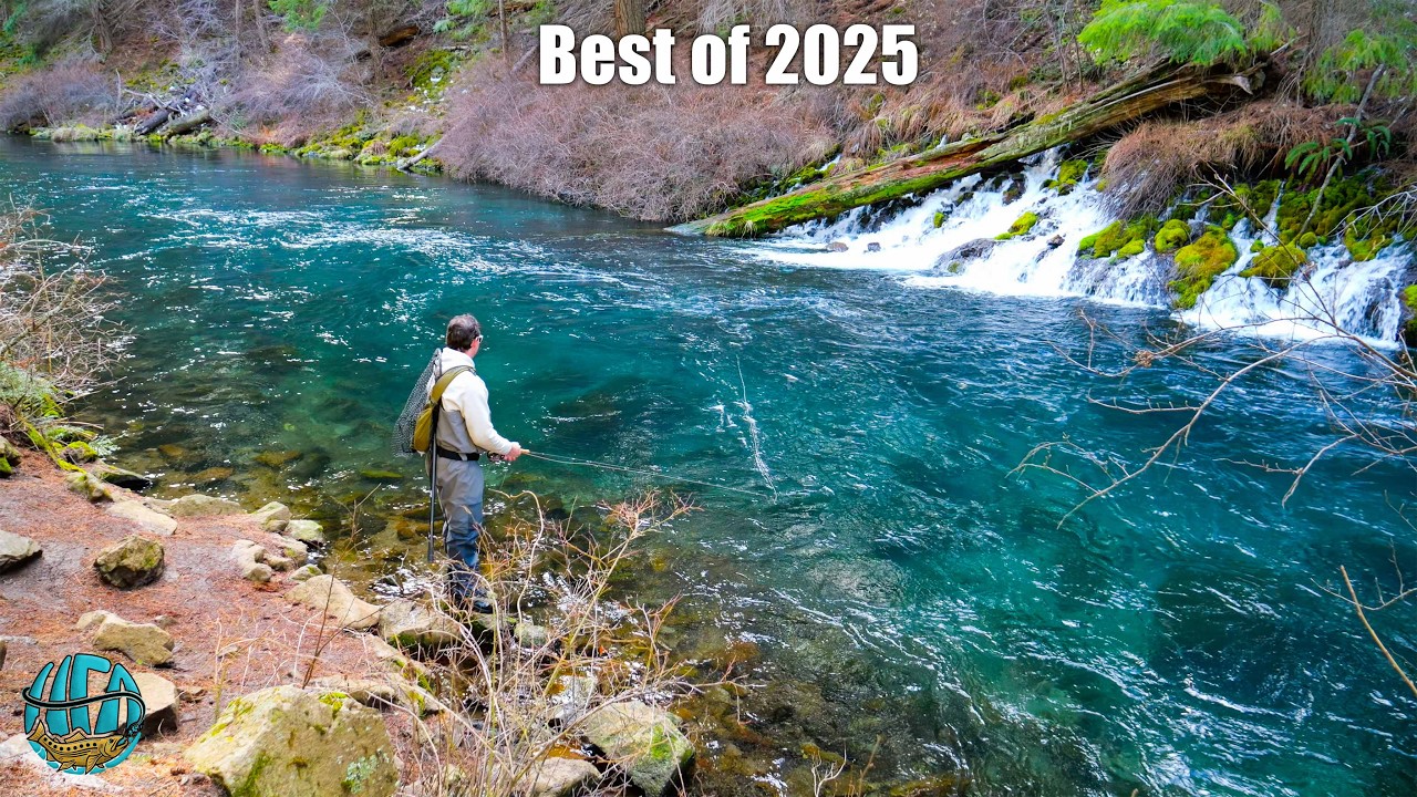 THE BEST FLY FISHING / TROUT FISHING VIDEO! (Best of compilation - 2025)
