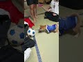 森保JAPANにサプライズ選出されませんでした。