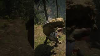 Mastering Survival Skill in Red Dead Redemption 2 #rdr2 #survivaltips #gamingshorts #gaming  #shorts