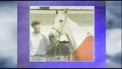 Trotting Legend Greyhound - "The Grey Ghost"