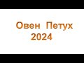 Овен Петух  на 2024 год от J Dzay