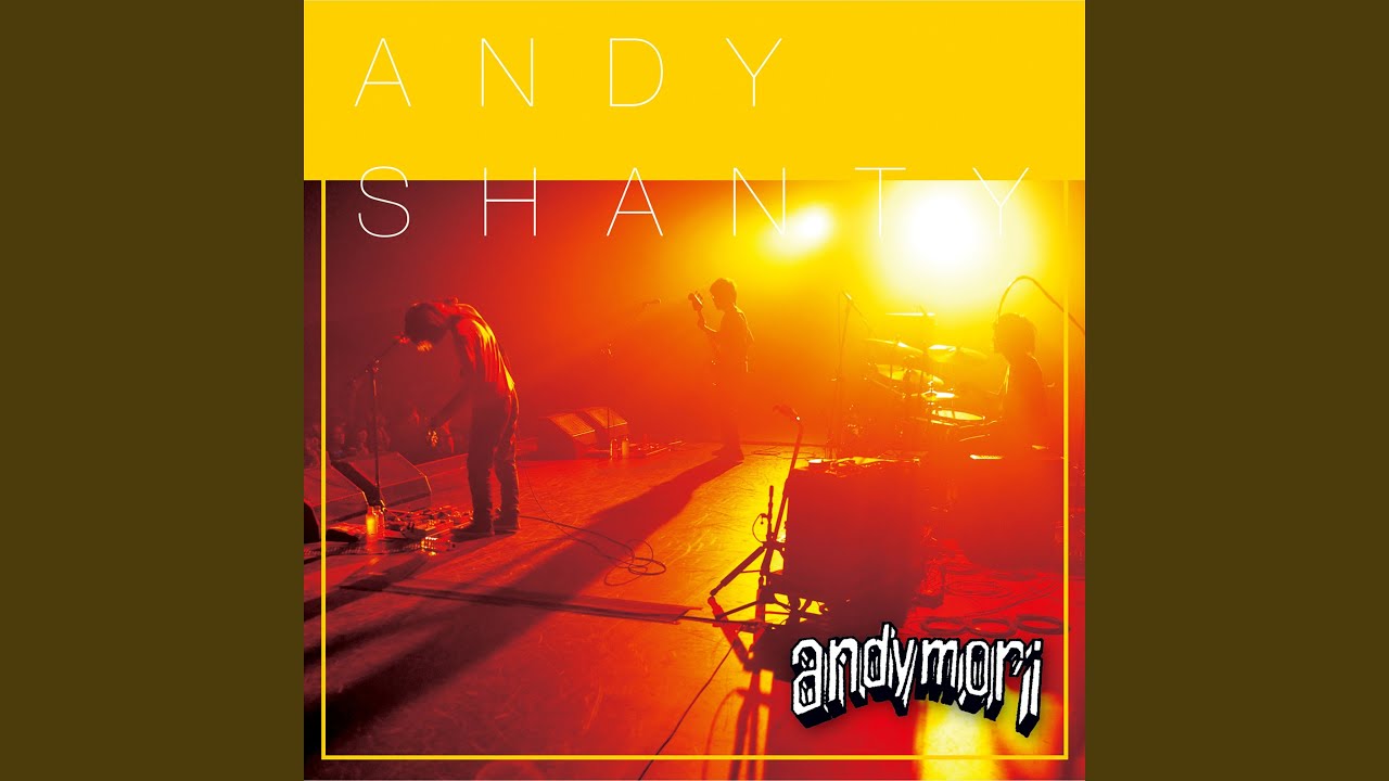 andymori ライブDVD 秋の楽園ツアー FUN!FUN!FUN! 特典 DVD andymori
