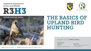 R3H3 - The Basics to Upland Bird Hunting - Episode 18