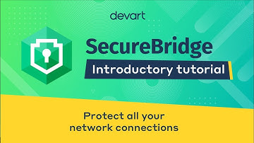 Easiest customizable HTTPS client from SecureBridge