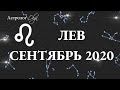 МАРС R в 9 доме. ЛЕВ ГОРОСКОП на СЕНТЯБРЬ 2020. Астролог Olga