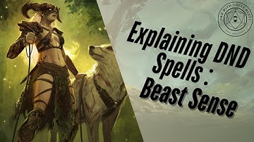 In-Depth D&D Spell Explanations - Beast Sense | 2024 Edition