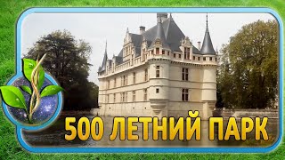 500 летний парк возле замка