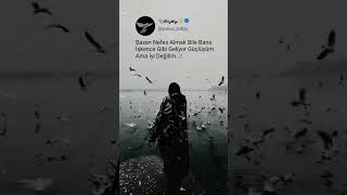 Hayat Çok Zor Be Usta