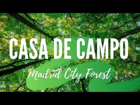 Casa de Campo. Thing to do in Madrid. SPAIN. Travel guide