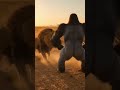Clash in the Dust #SavannahShowdown #WildlifeDrama #NatureUnleashed
