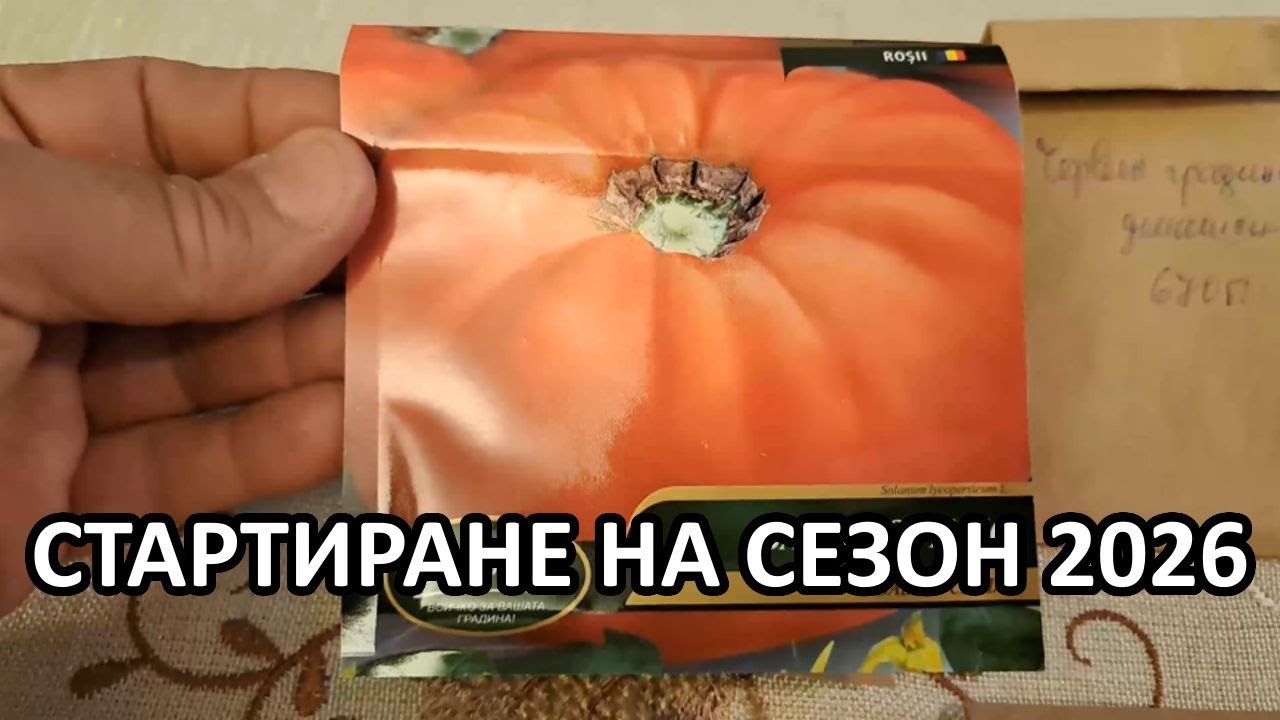 Какво ще сея в началото на новия сезон / Градина без копане / Tony's permaculture garden