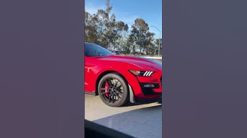 2022 gt500 supercharger whine