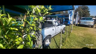 Krugersdorp Auction and Flea Market Car Show 25 May 2024