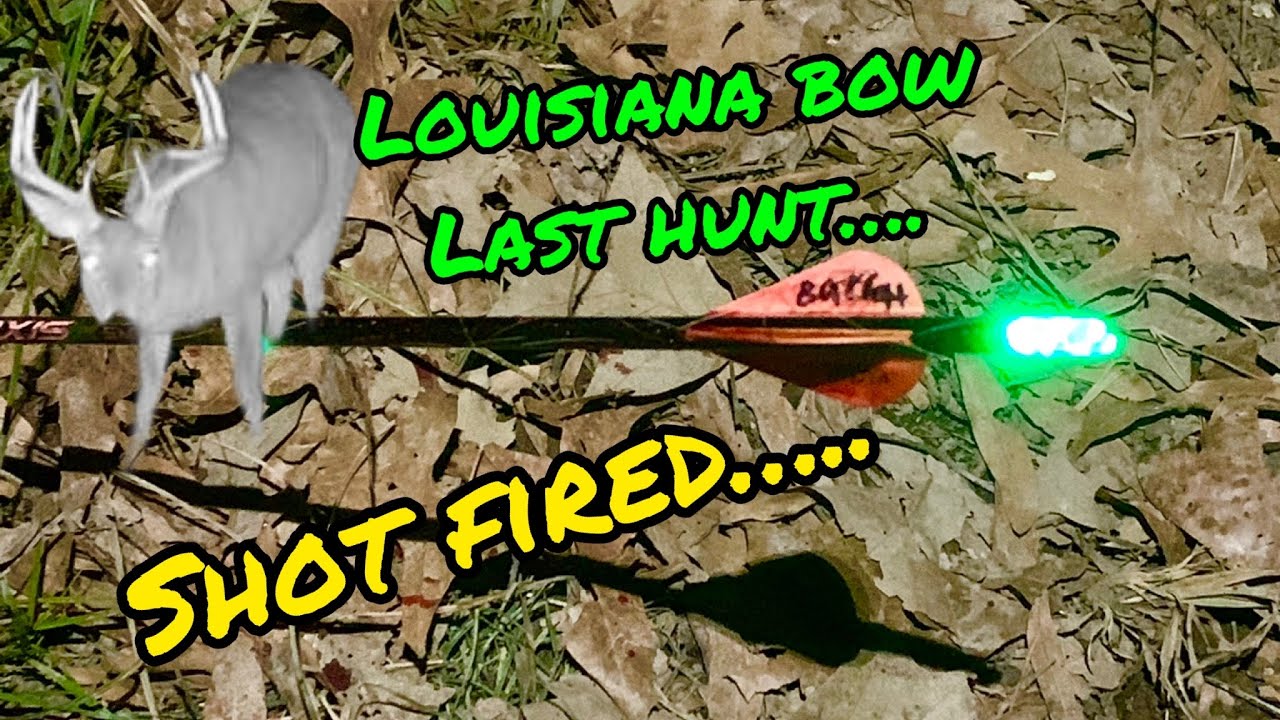 Buck Shows up My Last Bow Hunt in Louisiana for the 20212022 Whitetail