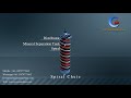 Gravity Spiral Concentrator Working Principle Animation Video