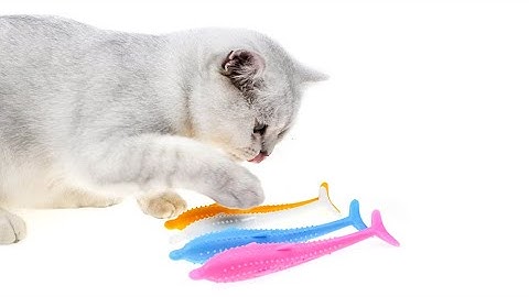 Silicone Refillable Catnip Fish Toy for Cats Cleaning Your Cat