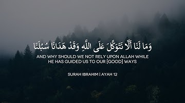 تلاوة خاشعة ــ ما تيسر من سورة إبراهيم ( surat ibrahim ) ــ للقارئ وليد أبوالدهب