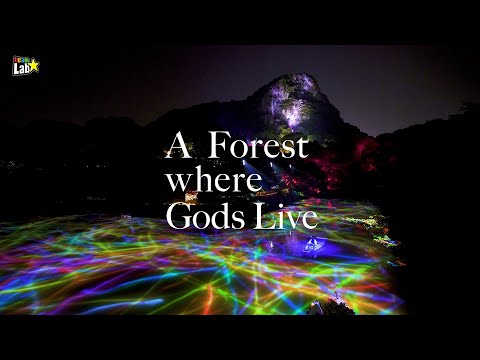 teamLab: A Forest Where Gods Live（2020）