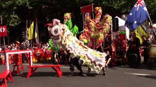 CYSM - Lion Dance & Dragon Dance "Water Margin" Chinatown Chinese New Year Festival 2018
