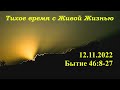 СЛОВО БОЖИЕ. Тихое время с ЖЖ. [Божья семья завета] (12.11.2022)