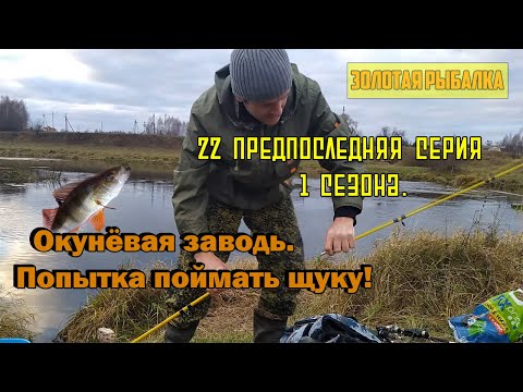 Рыбалка на реке Руза. Окунёвая заводь, охота на щуку. Золотая Рыбалка (22 серия)