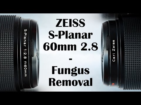 Zeiss S-Planar 60mm f/2.8 : Disassembly, cleaning and Fungus removal