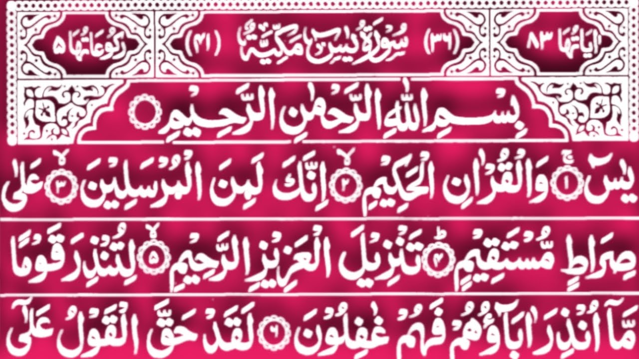 Surah Yaseen | Surah Yaseen Ki Tilawat | Surah Yaseen Beautiful Recitation | Ep-40