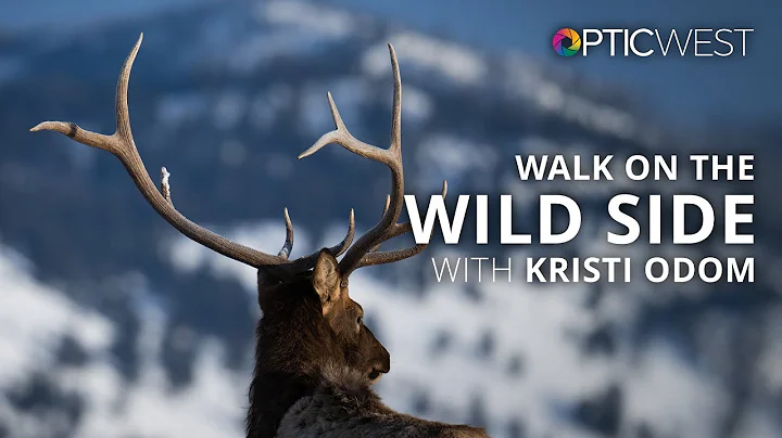 The Craziness I Do To Make Wildlife Images Work | ...