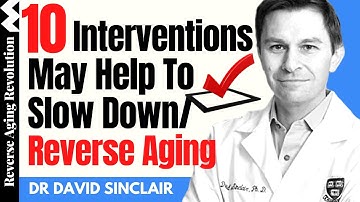 10 Interventions May Help To Slow Down Or Even Reverse Aging | Dr David Sinclair Interview Clips