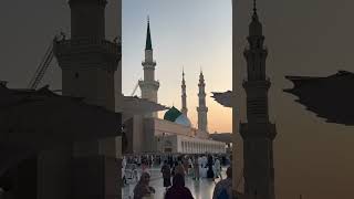 NEW NAAT