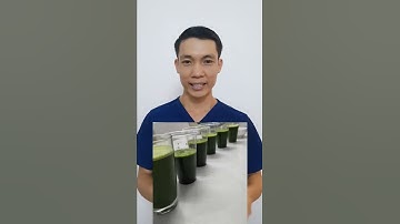 Điều gì sẽ xảy ra khi bạn uống nước ép cần tây liên tục 2 tuần