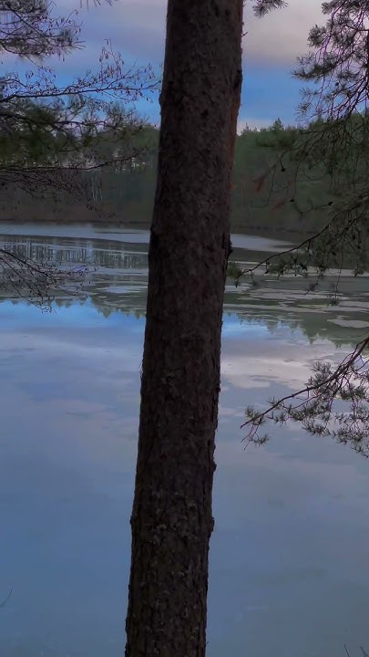 Помните, что после любой бури всегда выходит солнце! #беларусь #nature ...