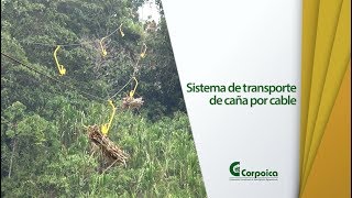 Sistema de transporte de caña por cable