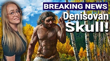 Ancient DNA Shows Dragon Man Is Denisovan!