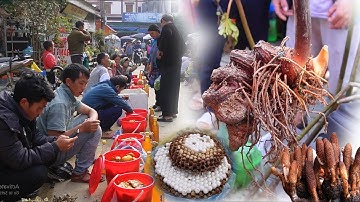 CHỢ TÂY BẮC LÀO CAI - THẢO DƯỢC RỪNG QUÝ HIẾM BẦY BÁN LA LIỆT Ở BẮC HÀ